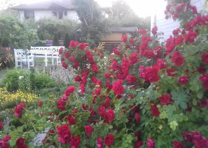 Guest house White 4*